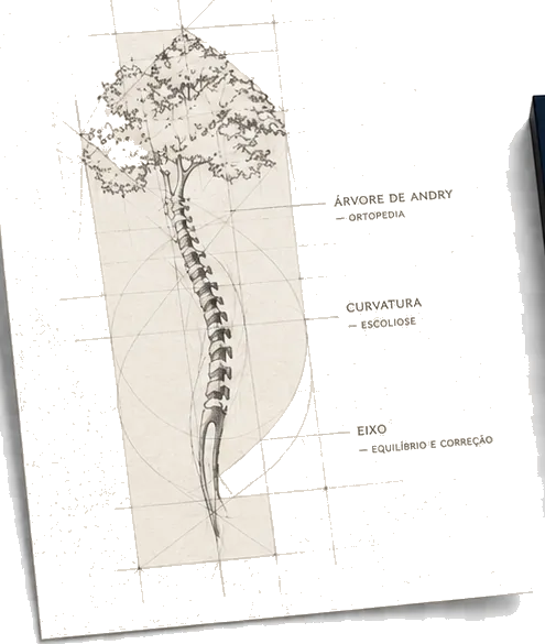 Marca do Dr. Samuel Conrad: árvore com tronco em coluna vertebral: peça 3 da identidade visual